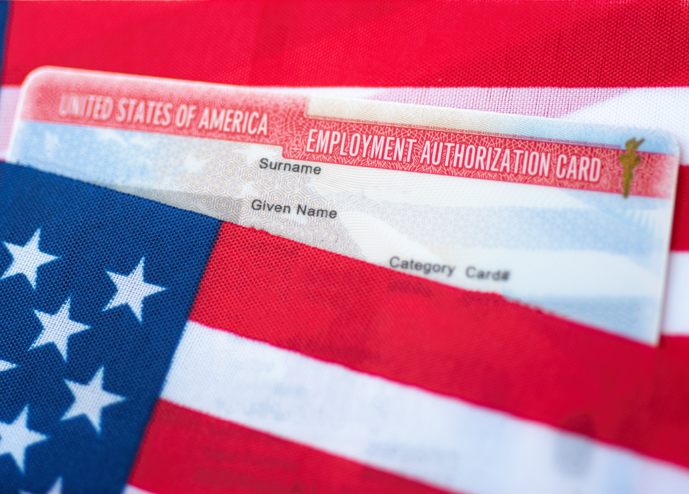 U.S. Employment Authorization card