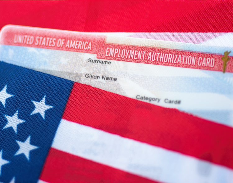 U.S. Employment Authorization card