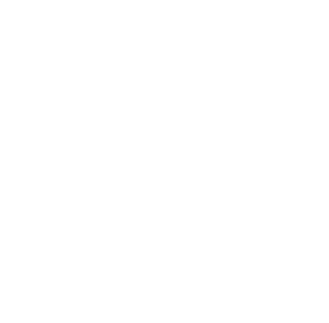 Chambers Contributor - Global Practice Guides 2024 - Power Generation, Transmission & Distribution