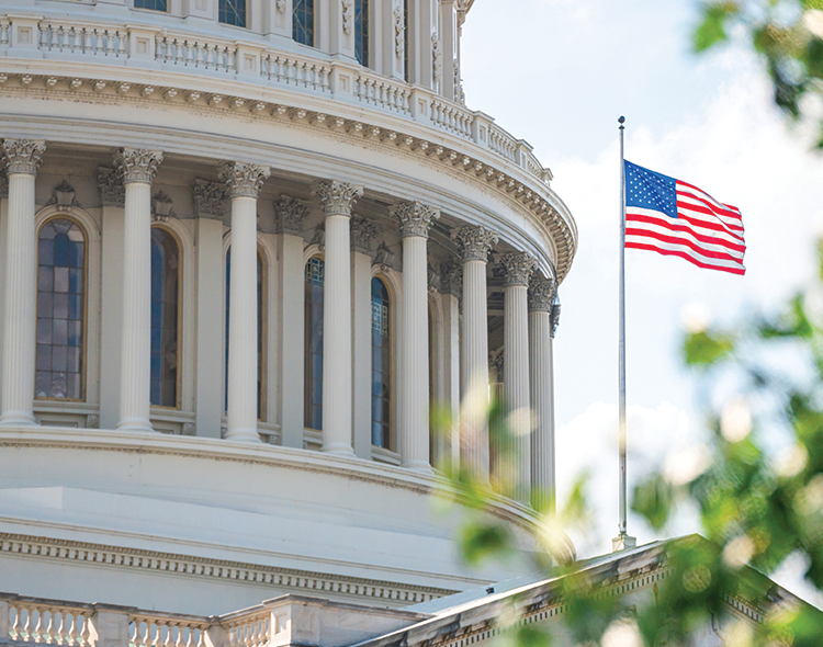 US Capitol with American flag waving in the distance.