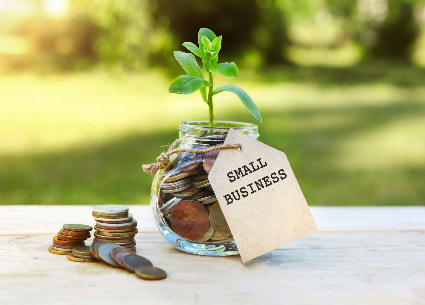 Change jar with plant and Small Business tag