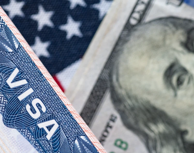 insights-thumbnail